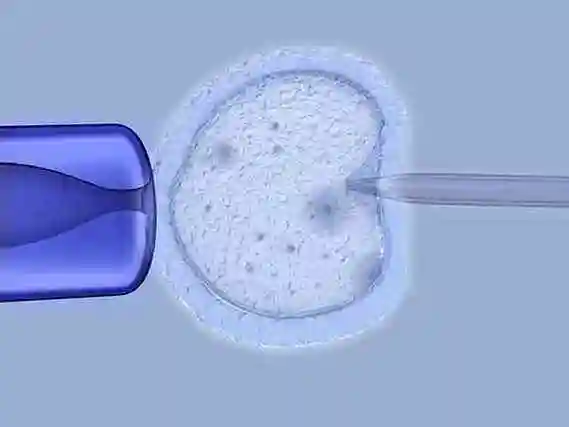 福州当多元家庭拥抱新生命：解锁 “彩虹生子” 的温暖密码
