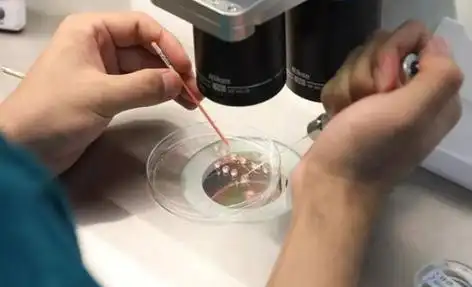福州打破偏见的生命礼赞：同性生子背后的爱与坚守